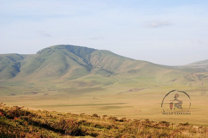 3 days safari in North- Ngorongoro, Tarangire, Mt. Oldeani - Comfort level: no AC plans, and how to set expectations