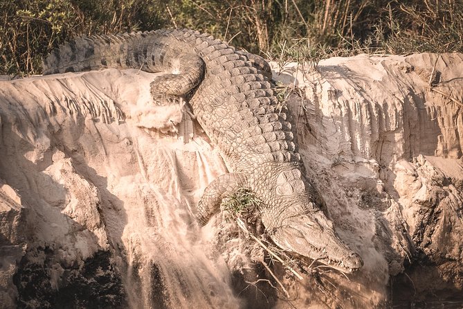 3 Days Safari - Mikumi National Park - Food, drinks, and what is actually included