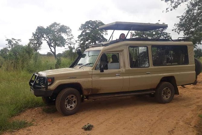 3 Days Safari - Mikumi National Park - Wildlife odds, and how to set expectations without killing the fun