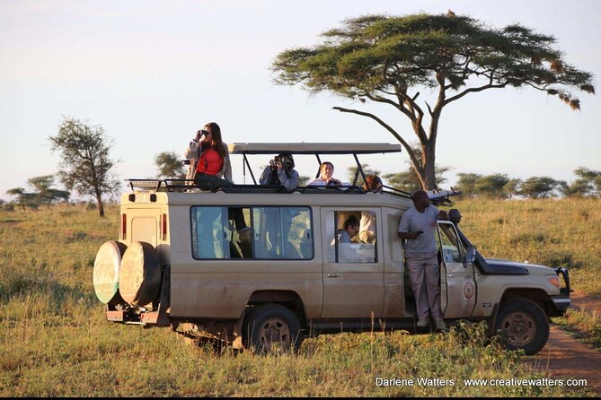 3 Days Safari Ngorongoro Crater and Serengeti National Park - Guide and group size: small group means less chaos