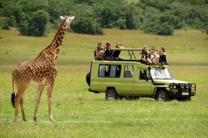 3 Days Safari Ngorongoro Crater and Serengeti National Park - Price and value for $810: what you’re really buying