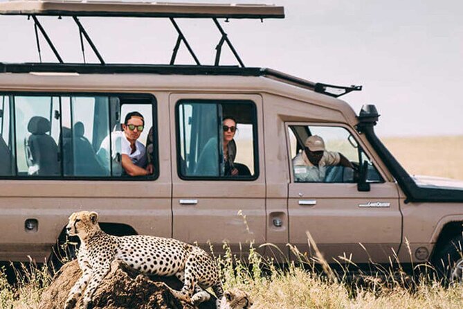 3 Days Safari Ngorongoro Crater and Serengeti National Park - What you might see, and what to set aside for later
