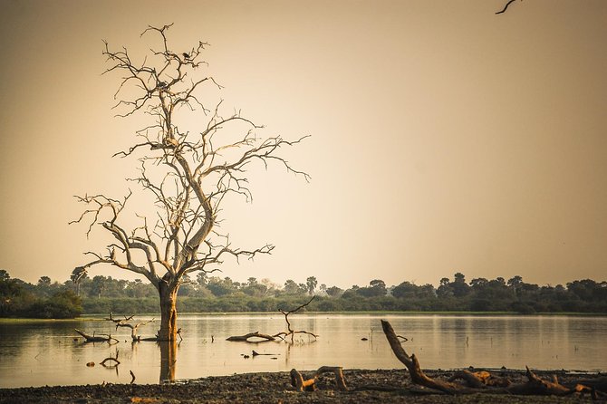 3 Days Safari - Selous Game Reserve - Key highlights that make this Selous safari work