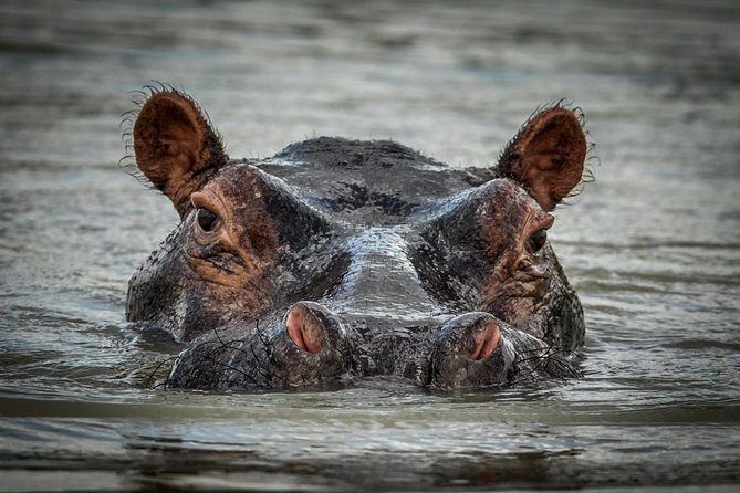 3 Days Safari - Selous Game Reserve - Dar es Salaam pickup and that long road day
