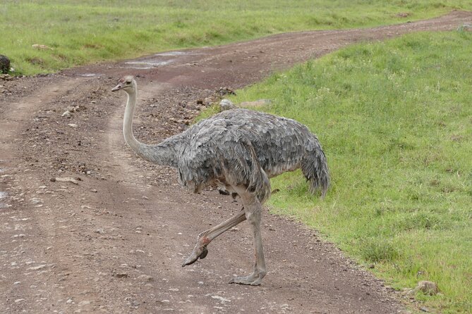 3 Days Safari Serengeti & Ngorongoro Crater - Price and value: what the $750 covers and what you should budget
