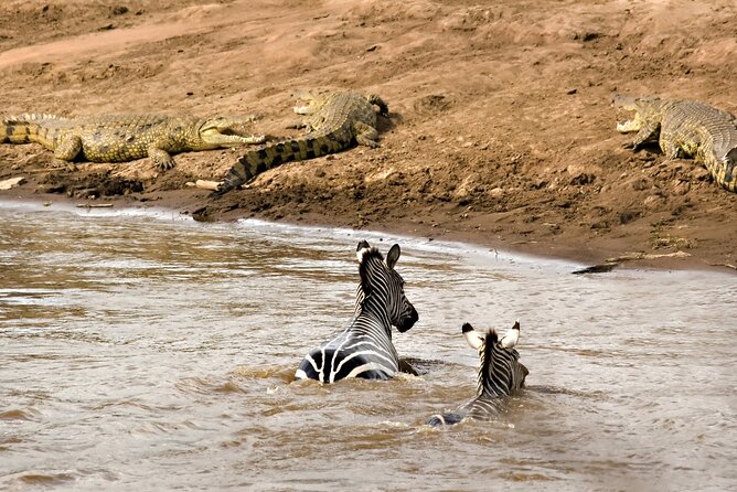 3 Days Safari Serengeti & Ngorongoro Crater - Who should book, and who might want a slower option