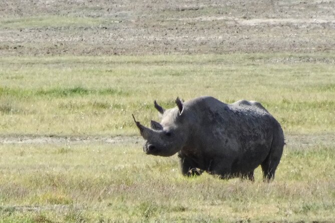 3 Days Safari Serengeti NP and Ngorongoro Crater - Big Five Safari, Serengeti to Ngorongoro in 3 Days