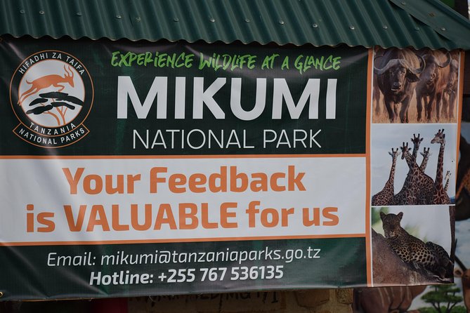3 days safari to Mikumi and Udzungwa - Mikumi National Park game drive day: waterholes, predators, and bird life