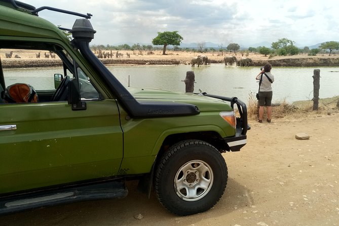 3 Days Safari to Mikumi NP - Accommodation Inside the Park - Day 2 Full-Day Game Drive: More Hours, Packed Lunch, Better Odds