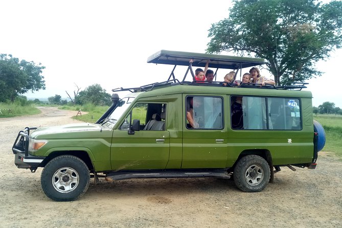 3 Days Safari to Mikumi NP - Accommodation Inside the Park - Guides, Communication, and the Difference Good Driving Makes