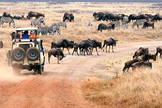 3 days Safari to Tarangire, Ngorongoro and Manyara from Zanzibar - Day 1: Tarangire National Park after your Zanzibar to Arusha flight