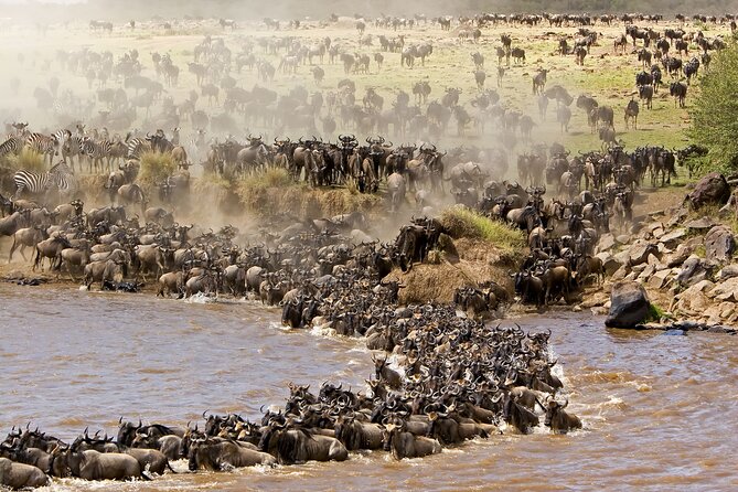 3 days Safari to Tarangire, Ngorongoro and Manyara from Zanzibar - Day 2: Descending 600 m into Ngorongoro Crater for maximum wildlife density