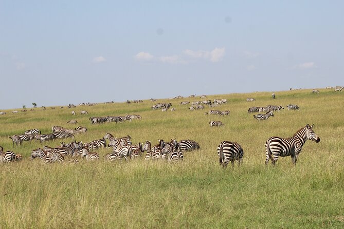 3 Days Safari Tour in Lake Manyara and Ngorngoro - Key highlights you will care about