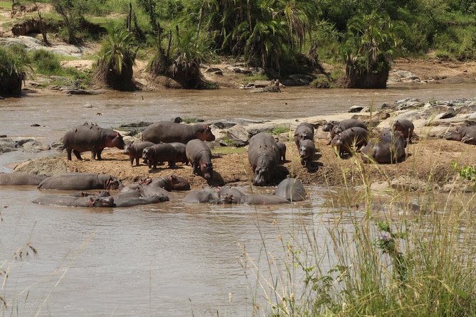 3 Days Safari Tour in Lake Manyara and Ngorngoro - Why Lake Manyara and Ngorongoro in 3 Days Works