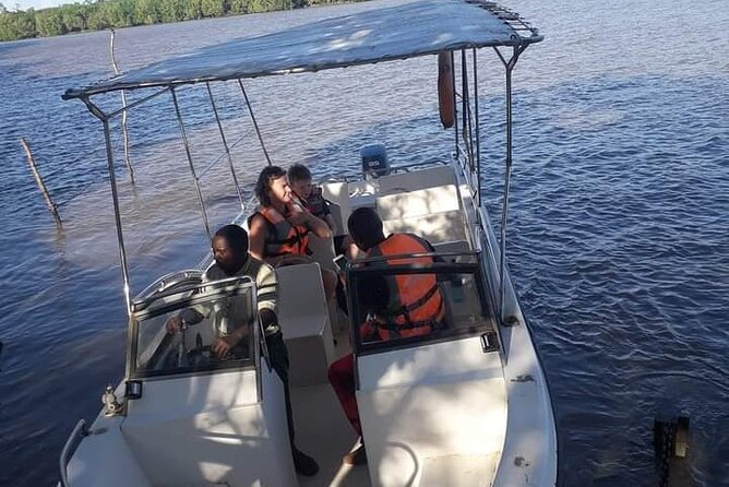 3 Days Selous Game Reserve Fly From Zanzibar - What your guide can really change, and why names show up