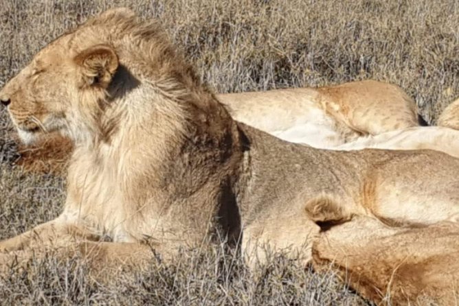3 Days Selous Game Reserve Fly From Zanzibar - Price and value: is $1,250.88 a fair deal?