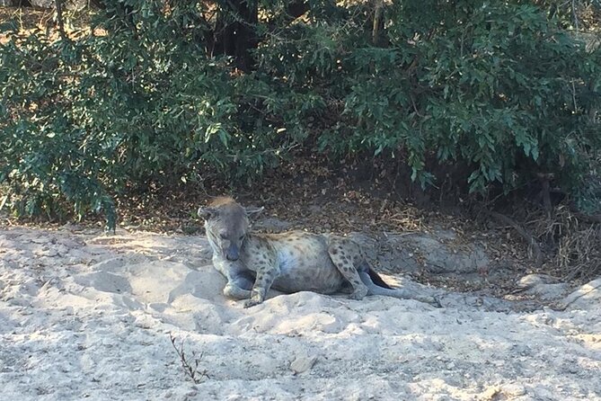3 Days Selous (Nyerere National Park) - Price and Logistics: What $850 Really Buys
