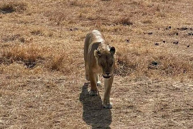 3 Days Selous (Nyerere National Park) - Packing and Timing Tips for Nyerere From Dar