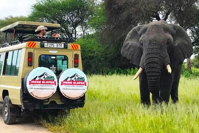 3 Days Serengati and Ngorongoro crate group tour and safari - Price and what $850 covers (and what it does not)