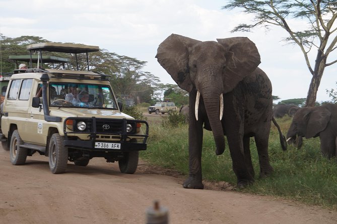 3 Days Serengeti and Ngorongoro Crater Safari from Mwanza to Arusha - Key things that matter most on this safari