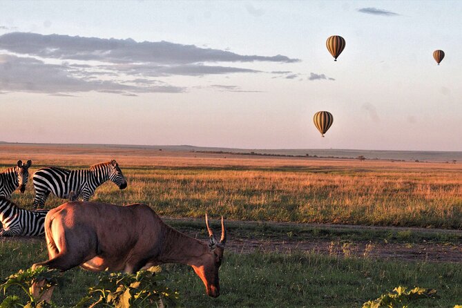 3 Days Serengeti and Ngorongoro Crater Safari from Mwanza to Arusha - Why this Mwanza to Arusha route makes sense