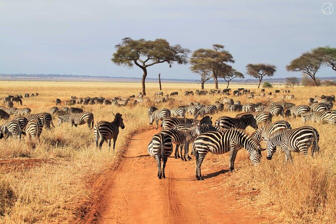 3 Days Serengeti and Ngorongoro Crater Safari from Mwanza to Arusha - Day 3 Arusha and the Great Rift Valley drive: finishing strong, not wiped out