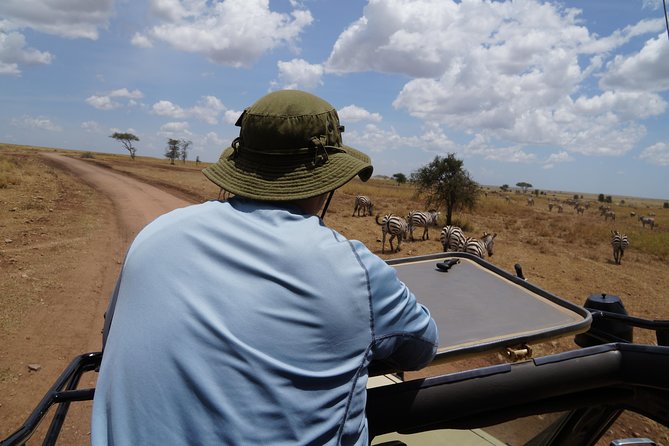 3 Days Serengeti and Ngorongoro Crater Safari from Mwanza to Arusha - Day 1 in Serengeti National Park: Big Five time, fast
