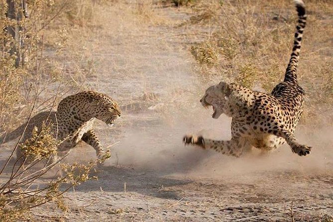 3 Days Serengeti National Park from Zanzibar - The route that turns a long trip into a 3 day safari