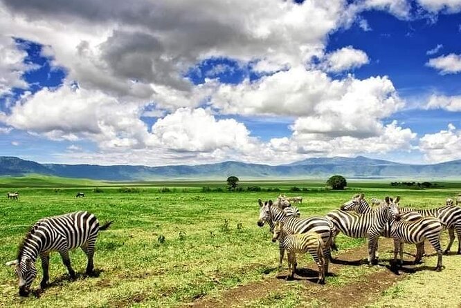 3 Days Serengeti National Park from Zanzibar - Accommodation and food: what matters beyond the itinerary