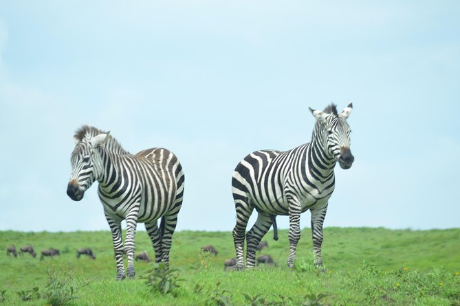 3 Days Serengeti & Ngorongoro Crater group safari - Day 1: Arusha to Serengeti, with an Ngorongoro gate viewpoint and optional Maasai village