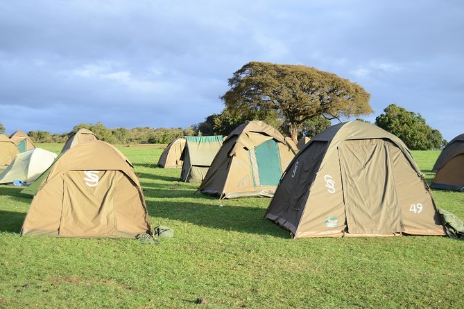 3 Days Serengeti & Ngorongoro Crater group safari - Day 2: 6:00 a.m. breakfast, a long Serengeti game drive, and the Simba campsite move