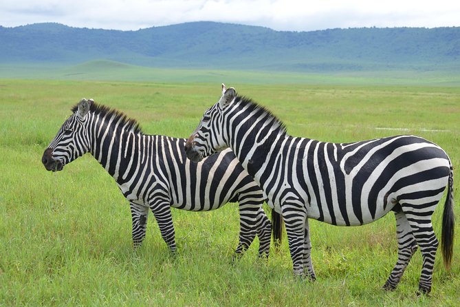 3 Days Serengeti & Ngorongoro Lodge Safari - How This Package Handles the Hard Parts