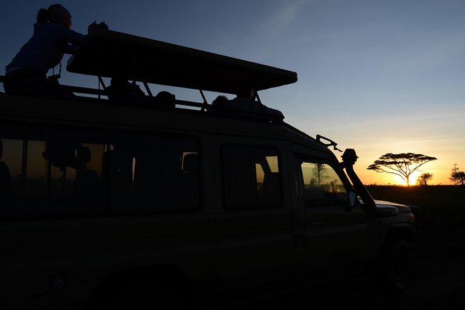3 Days Serengeti & Ngorongoro Lodge Safari - Day 1 Road Time, Quick Crater Views, and Serengeti Arrival