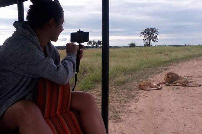 3 Days Serengeti & Ngorongoro Tour - Price and value: does $800 make sense for two UNESCO parks?