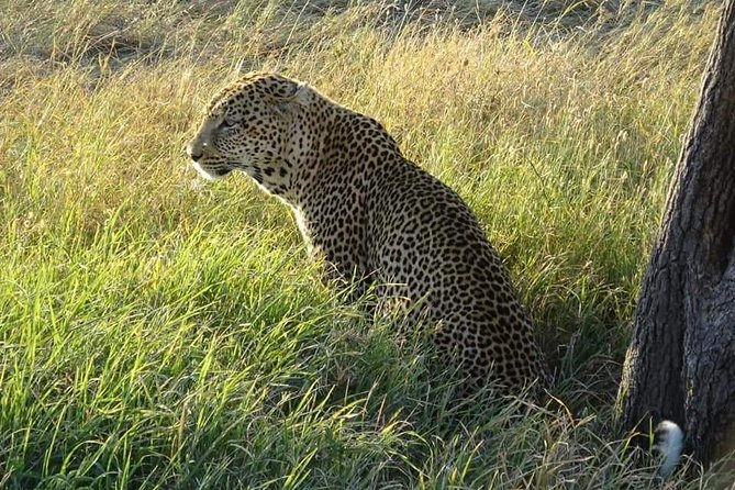 3 Days Serengeti & Ngorongoro Tour - One last practical note before you commit