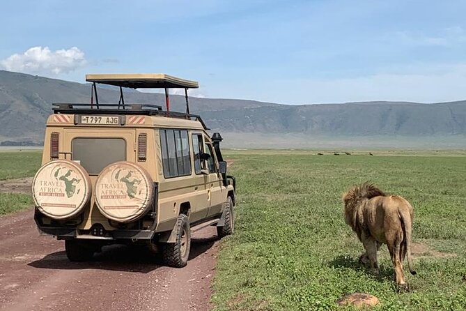 3 Days Small Group Safari to Serengeti NP and Ngorongoro Crater Tour in Tanzania - A Smart Combo for First-Time Safari Fans: Serengeti Plus Ngorongoro