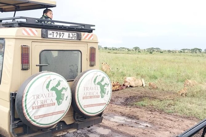 3 Days Small Group Safari to Serengeti NP and Ngorongoro Crater Tour in Tanzania - Hippo Habitat Stop: One More Wildlife Mood Before You Move On