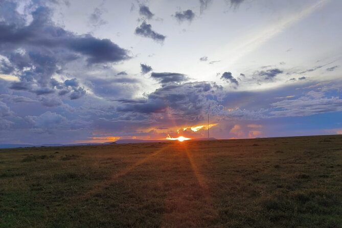 3 Days Small Group Safari to Serengeti NP and Ngorongoro Crater Tour in Tanzania - Meals, Park Fees, and Camping Gear: Where This Price Feels Fair