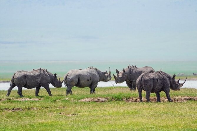 3 Days Tanzania Budget Group Joining Safari Tour - Price and Logistics: Is $962 Good Value for This Route?