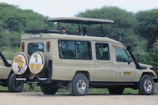 3 Days Tanzania group join safari - Serengeti & Ngorongoro crater - Day 2, Serengeti morning drive plus crater-bound afternoon
