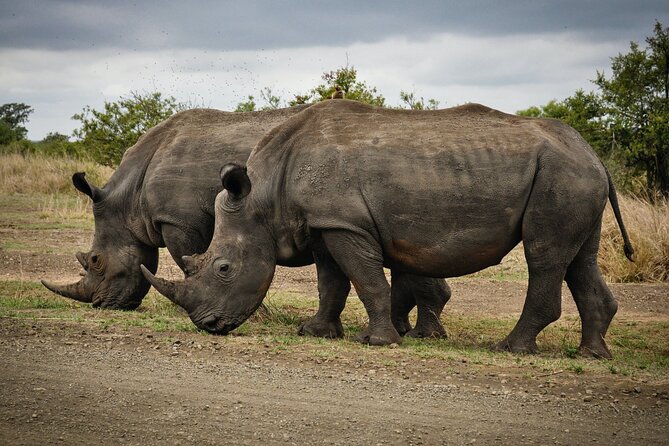 3 Days Tanzania Private Luxury Safari to Serengeti & Ngorongoro - Three Days Between Serengeti and Ngorongoro Crater