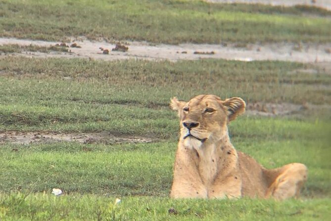 3 Days Tanzania Safari - Price and value: what $780 buys in a short guided safari