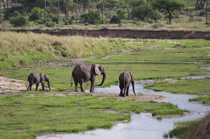 3 Days Tanzania Safari: Tarangire, Manyara and Ngorongoro Crater - What the 9-hour days feel like, and how to pack