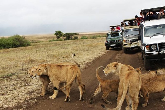 3-Days Tanzania Safari Tours - The part that can make or break your trip: early mornings