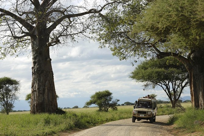 3-Days Tanzania Safari Tours - Tips for getting the best wildlife viewing on this route