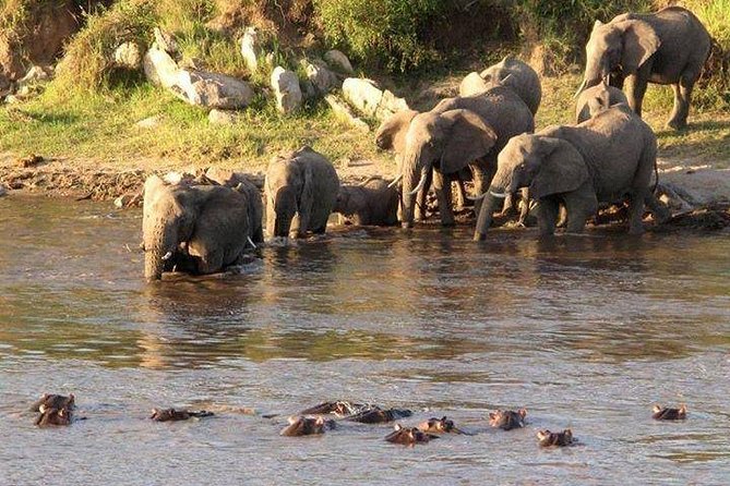 3-Days Tanzania Safari Tours - Day 1 in Tarangire National Park: baobabs, elephants, and birds