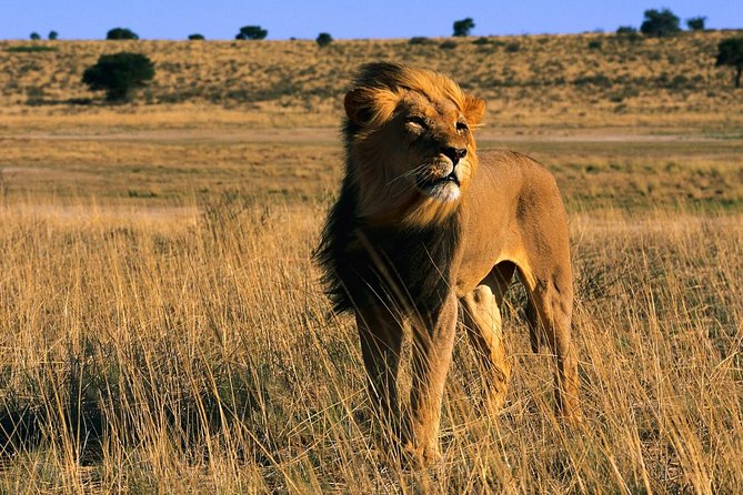 3 Days Tanzania Short and Spicy - Lake Manyara: Birds, Hot Springs, and That Park-Within-A-Park Feeling