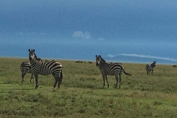 3 days Tarangire, Lake Manyara and Ngorongoro - Three parks, three days, and why this plan works