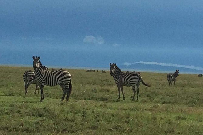 3 days Tarangire, Ngorongoro & Lake Manyara package - Price and value: is $779 a fair deal?
