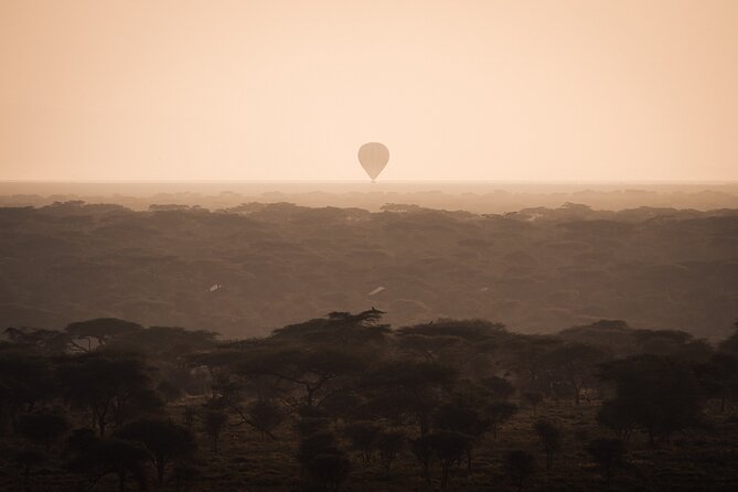 3 days to Serengeti NP and Ngorongoro Crater Tour in Tanzania - Serengeti and Ngorongoro in 3 days, the practical version